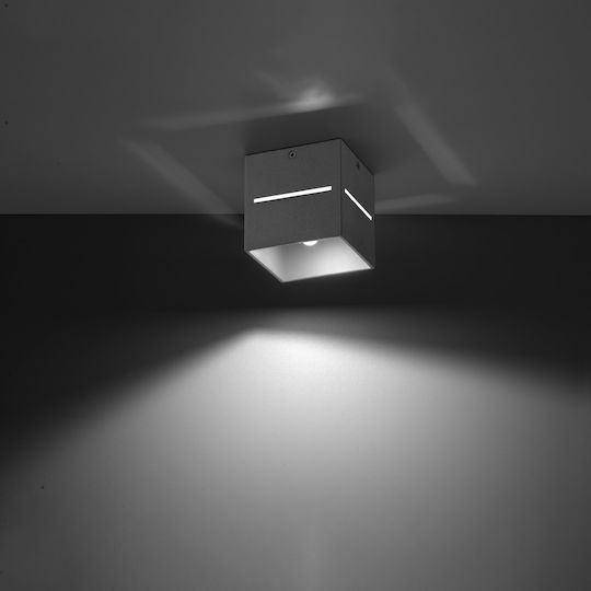 Sollux Lobo Modern Lamp Wall Gray 10x13x13cm
