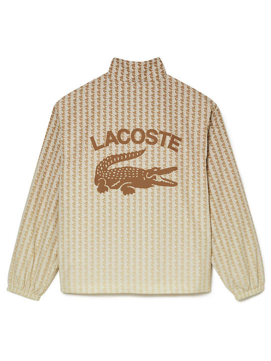 Lacoste Men's Winter Jacket Beige