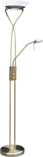 Rabalux Gamma Floor Lamp H178xL31cm with Socket for R7S Bulb Bronze