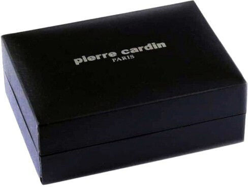 Pierre Cardin Lighter Flame in Silver color