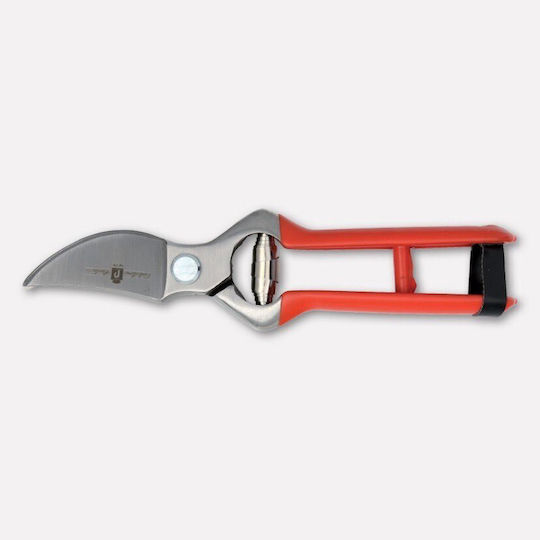 Paolucci Coltellerie 356 Traubenschere Länge 23cm