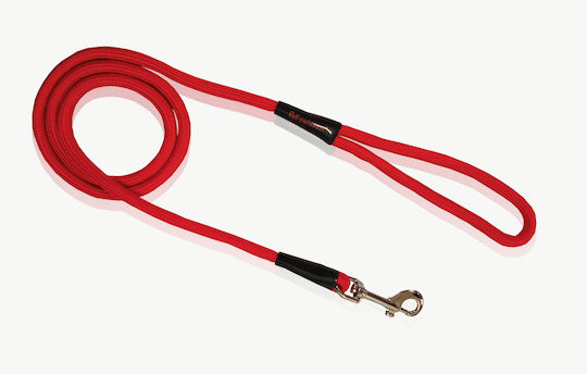 Pet Interest Dog Leash/Lead Strap Red Nylon Rope in Red color 1.2m x 1.5cm 3901-H-M