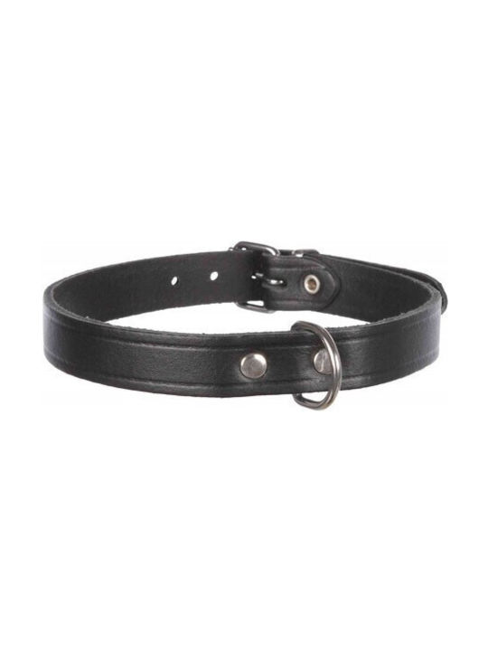 Trixie Dog Collar Leather in Black color Leather Collar Large/Extra Large 52-62cm/30mm Large / XLarge