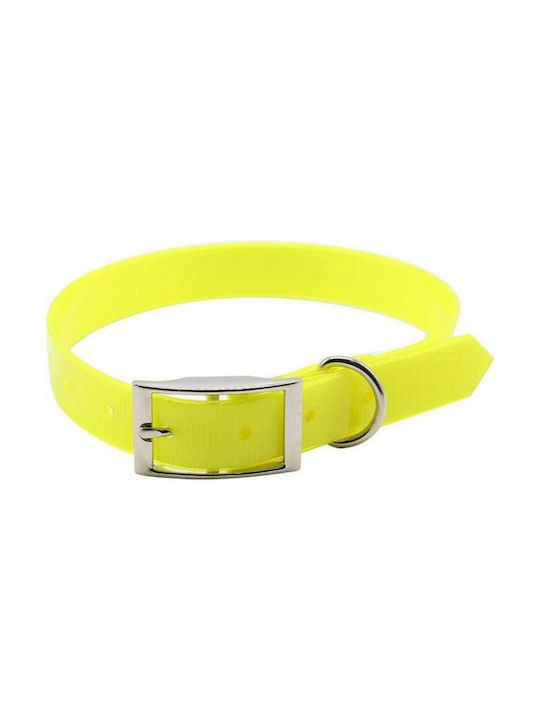 Dog Collar 55cm Yellow