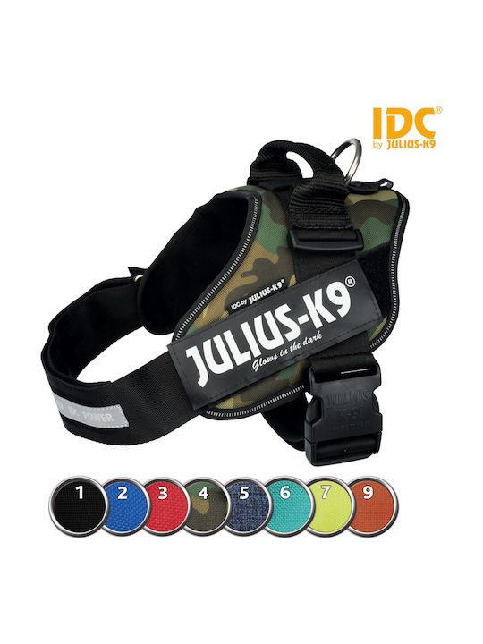 Julius-K9 Roșu