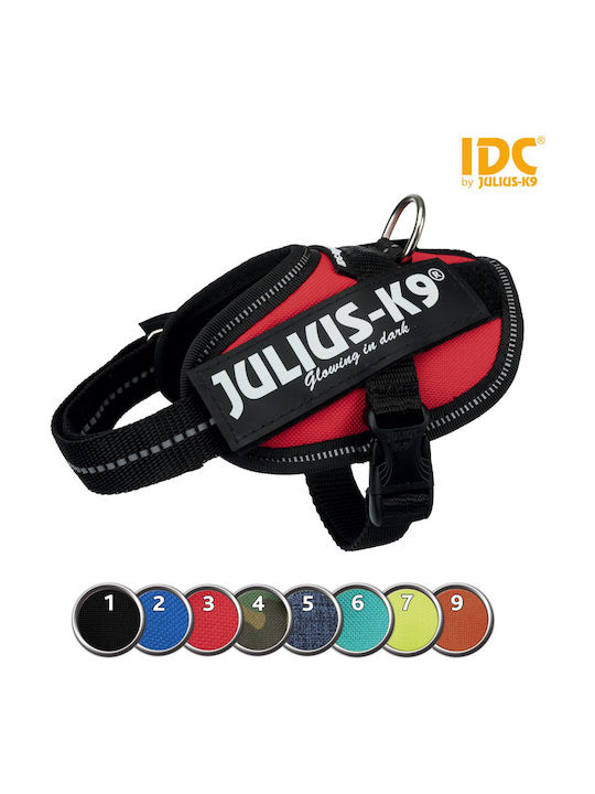 Julius-K9 Ham pentru câini Roșu Mini 49-67CM/22MM
