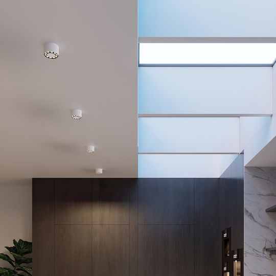 Sollux Single LED Natural White Spot in White Color