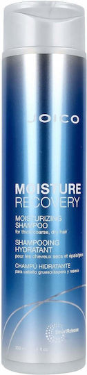 Joico Moisture Recovery Shampoos Glättung für Trocken Haare 300ml