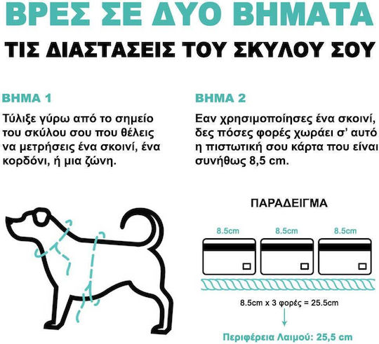 Zee-Dog Dog Leash/Lead Strap in Gray color 1.2m x 2cm