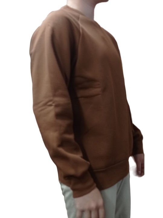 Paco & Co Men's Sweatshirt with Hood Brown