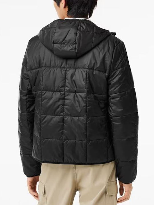 Winter Jacket Puffer Waterproof Black