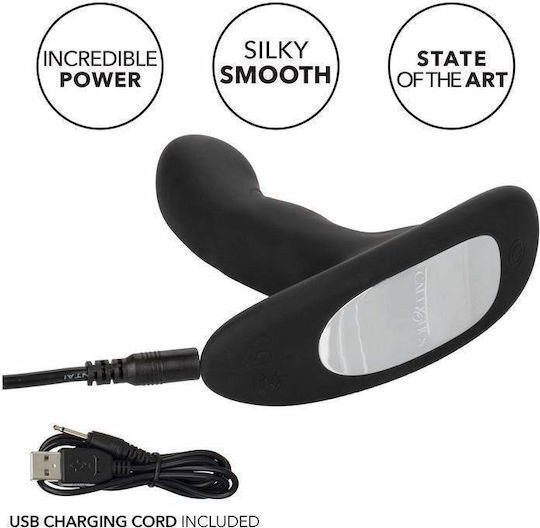 Calexotics Analvibrator Schwarz
