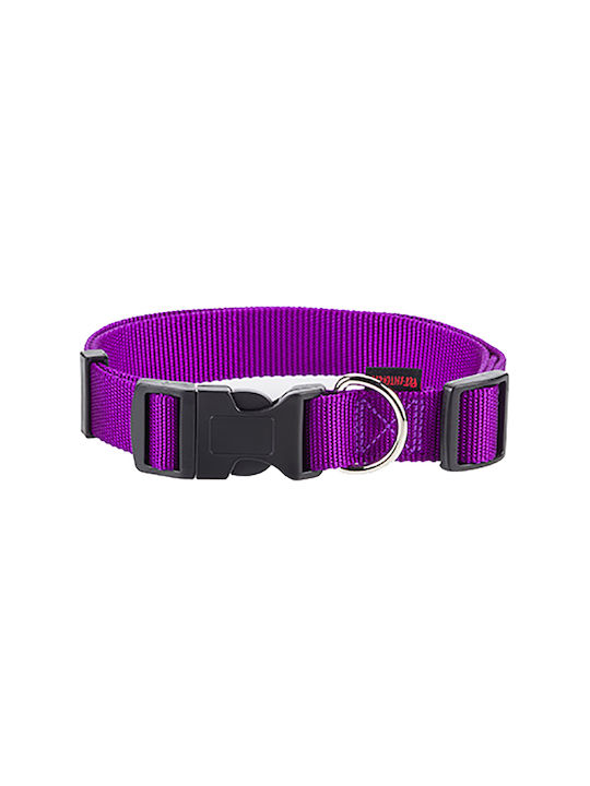 Pet Interest Plain Line Κολάρο Small 15mm x 22 - 40cm Pet Interest Plain Line Κολάρο Small 15mm x 22 - 40cm