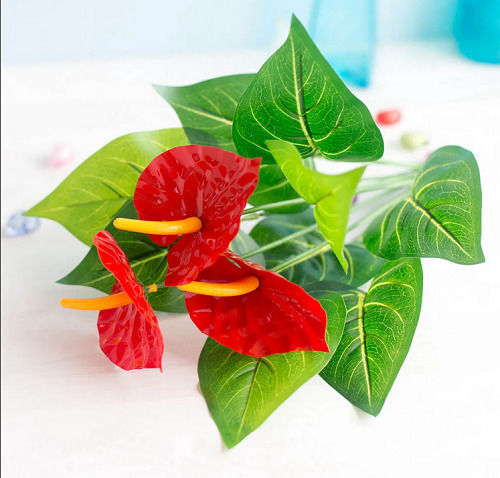 Изкуствено растение в саксийка Хвощ (Anthurium) 35см