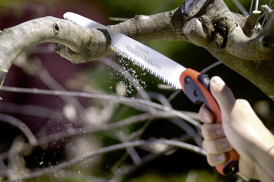 Stocker with Case 250 Pruning Hand Saw 25cm