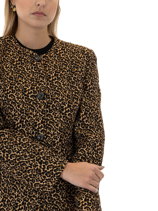 MY T Women's Blazer BROWN- BLACK- BEIGE