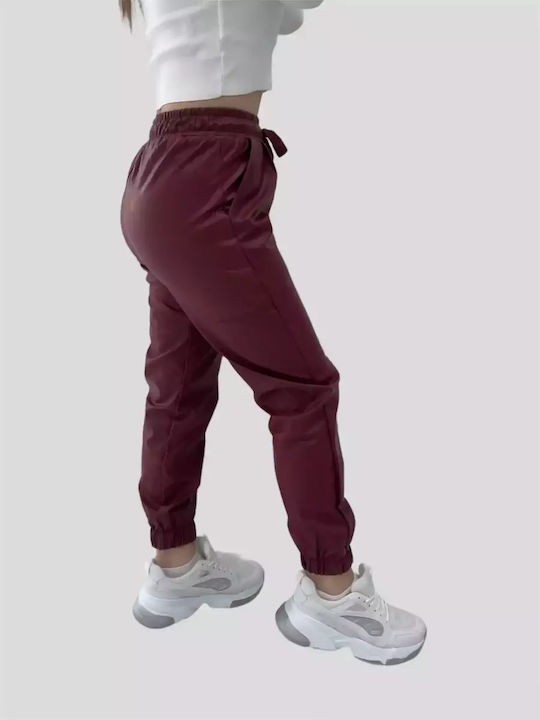 Bebe Plus