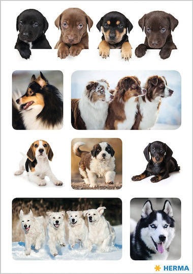 Herma Stickers Dog Favourites