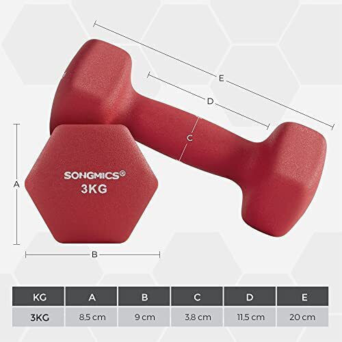 Songmics Βαράκι από Νεοπρένιο 1 x 3kg