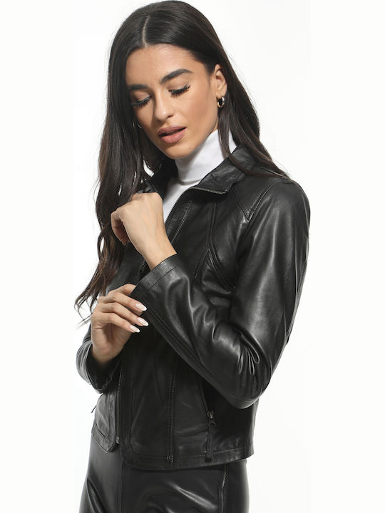 Newton Leather Newton Leather