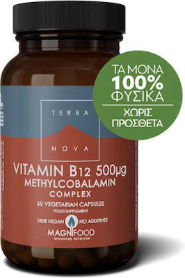 TerraNova Vitamin B12 Methylcobalamin Complex Βιταμίνη για την Υγεία του Νευρικού Συστήματος 500mcg 100 φυτικές κάψουλες