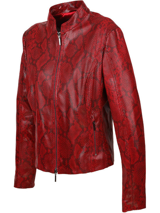 Studio Ar Women's Short Lifestyle Leather Jacket for Winter Red
