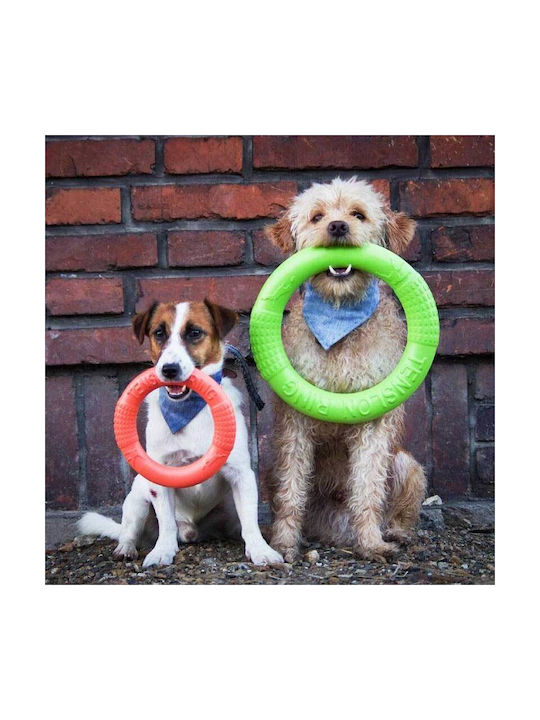Akinu Trainingsspielzeug Hund Mit Sound 26εκ. Grün