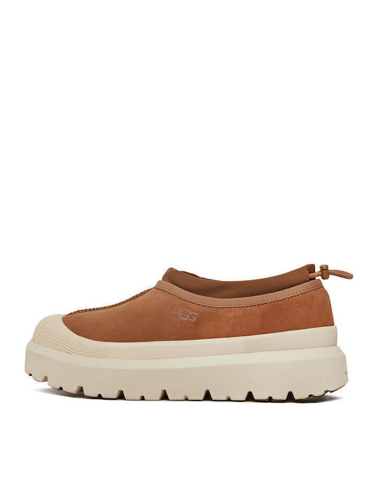 Tasman Heel Enclosed Leather Men's Slippers Brown