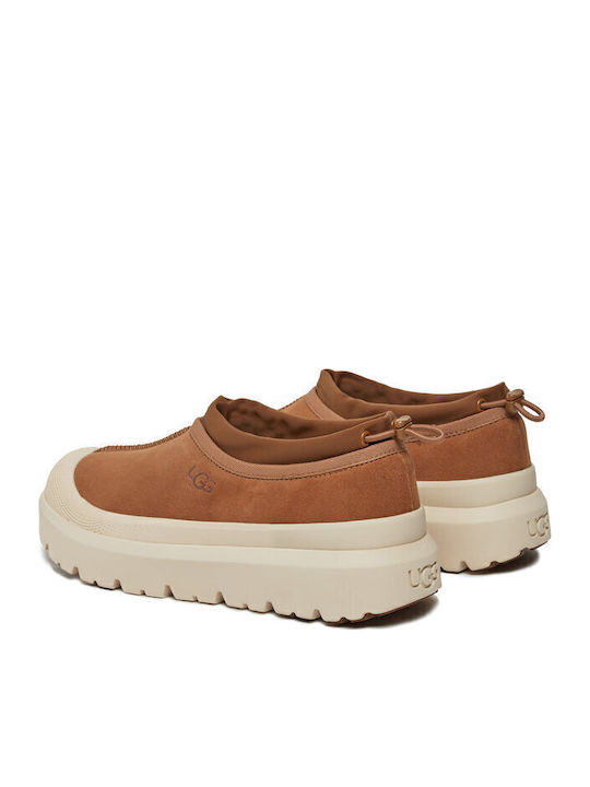 Tasman Heel Enclosed Leather Men's Slippers Brown