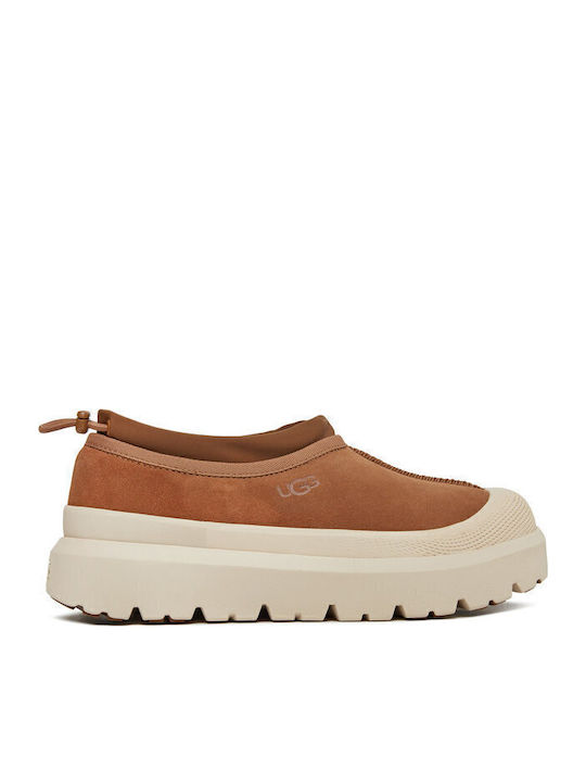 Tasman Heel Enclosed Leather Men's Slippers Brown