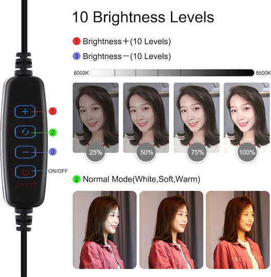 Puluz Light Ring Light 26cm with Floor Tripod and Mobile Phone Holder