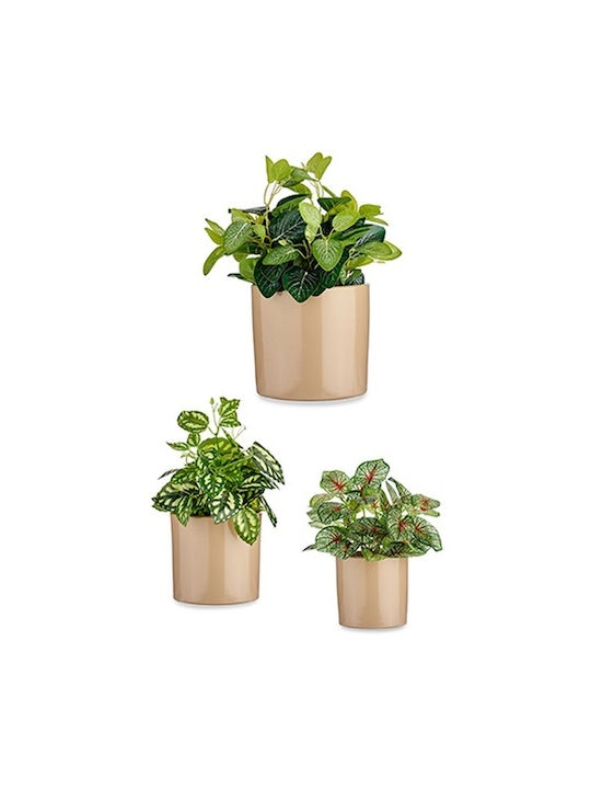 Ibergarden Set 3 Töpfe Kunststoff Beige