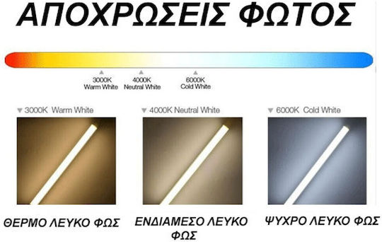 Adeleq Light LED Bulb 8W for Socket GU10 Natural White 800lm Dimmable