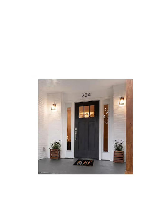 Entrance Mat made of Coir Paris Black 40x60cm
