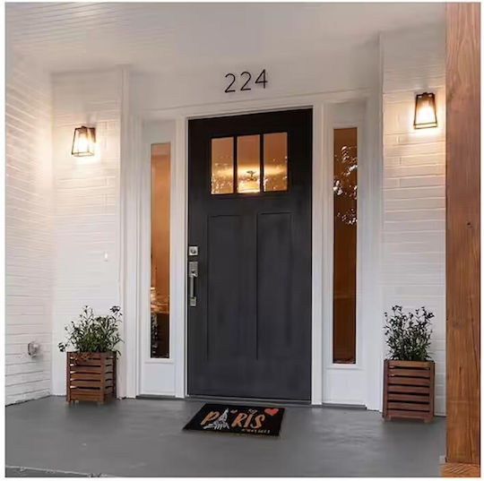 Entrance Mat made of Coir Paris Black 40x60cm