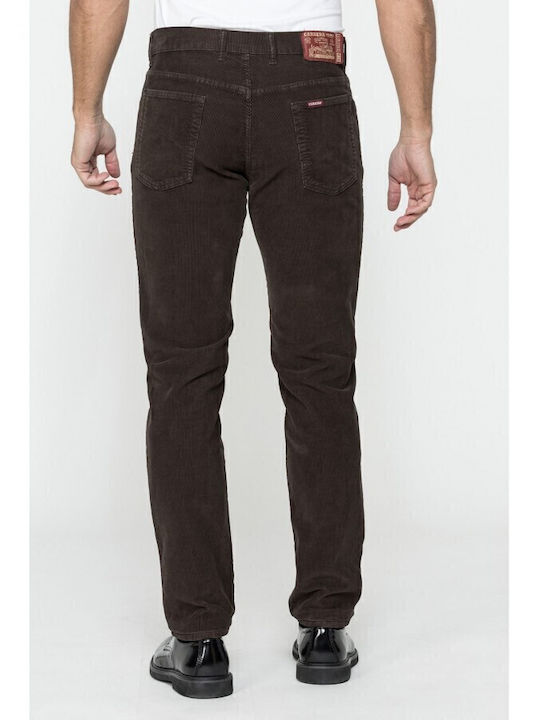Carrera Trousers Elastic in Regular Fit Brown