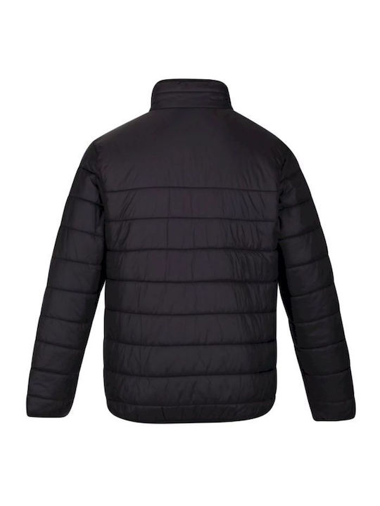 Regatta Iii Herren Winter Jacke Puffer Wasserdicht Schwarz