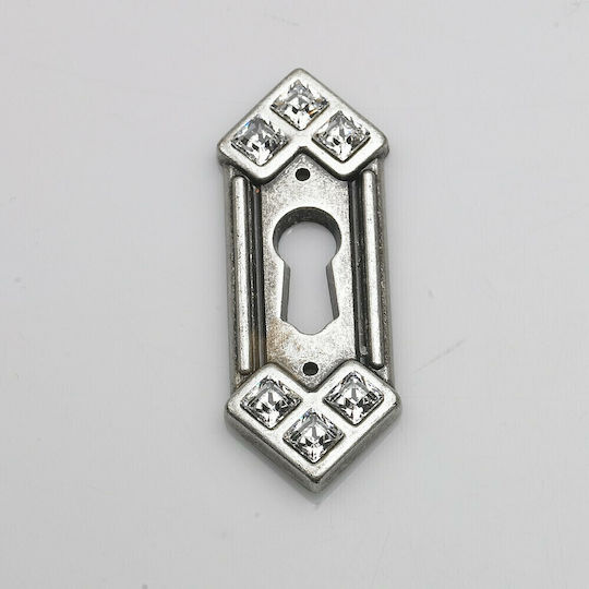 Rosette - Door Escutcheon Furniture Silver