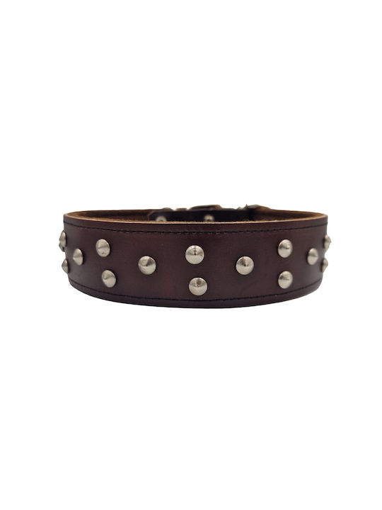 ByLeather Κολάρο Δερμάτινο σε Καφέ χρώμα Small 60cm ByLeather Κολάρο Δερμάτινο σε Καφέ χρώμα Small 60cm