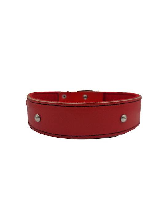 ByLeather Κολάρο Δερμάτινο σε Κόκκινο χρώμα Small 60cm ByLeather Κολάρο Δερμάτινο σε Κόκκινο χρώμα Small 60cm