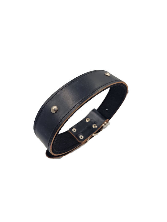 ByLeather Κολάρο Σκύλου Δερμάτινο σε Μαύρο χρώμα Small 60cm