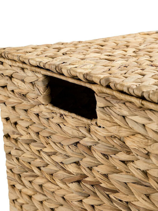 La Redoute Interieurs Wooden Decorative Trunk Beige 33x63x30cm