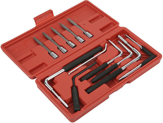 SKS Tools Σετ Εργαλείων 12τμχ για VW / Bmw / Opel / Audi / Renault / Seat