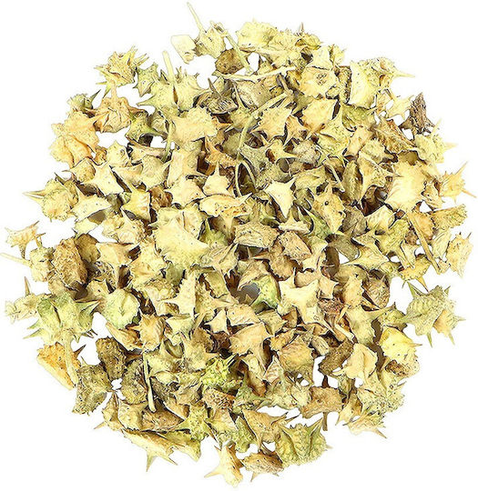 MPACHARADIKO Tribulus Produs organic 100gr