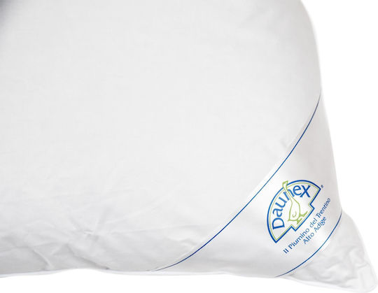 Daunex Nuvola Kopfkissen Gefiedert 50x80cm