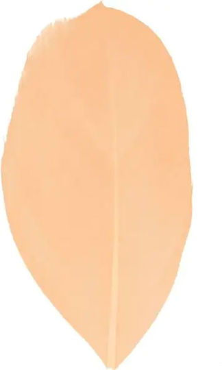 Artemio Wing Craft Orange