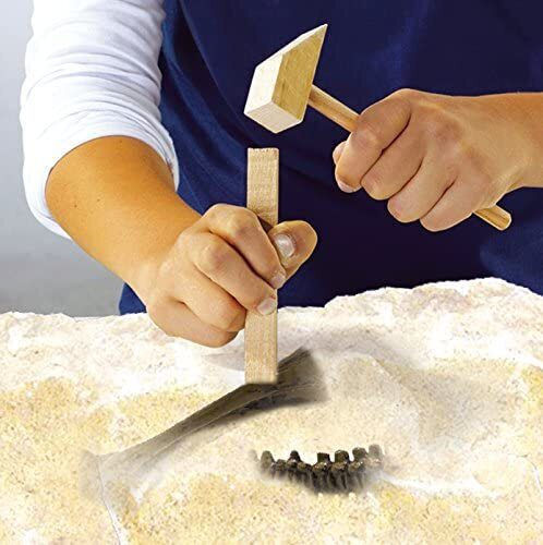 Ses Creative Plastic Construction Toy Explore Excavate a T-Rex for Children 4+ years old+ Years