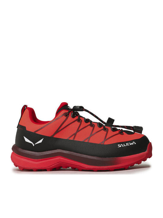 Salewa