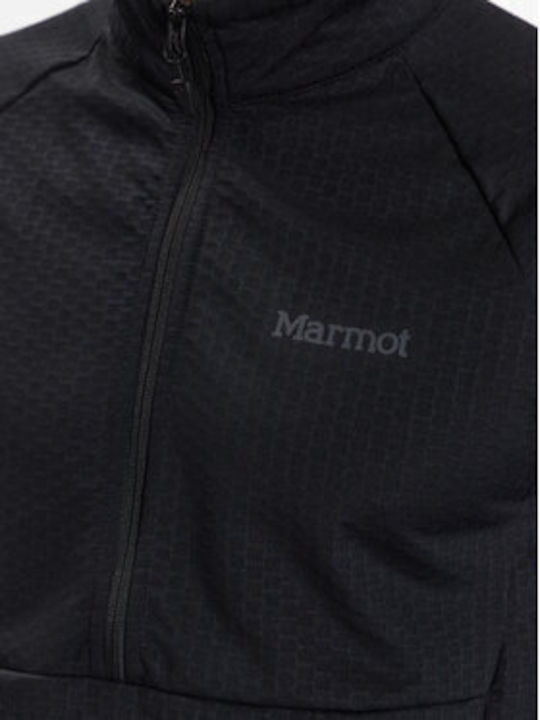 Marmot