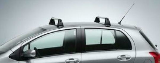 Toyota 2005-2011 (with Roof Rack Legs) Silver